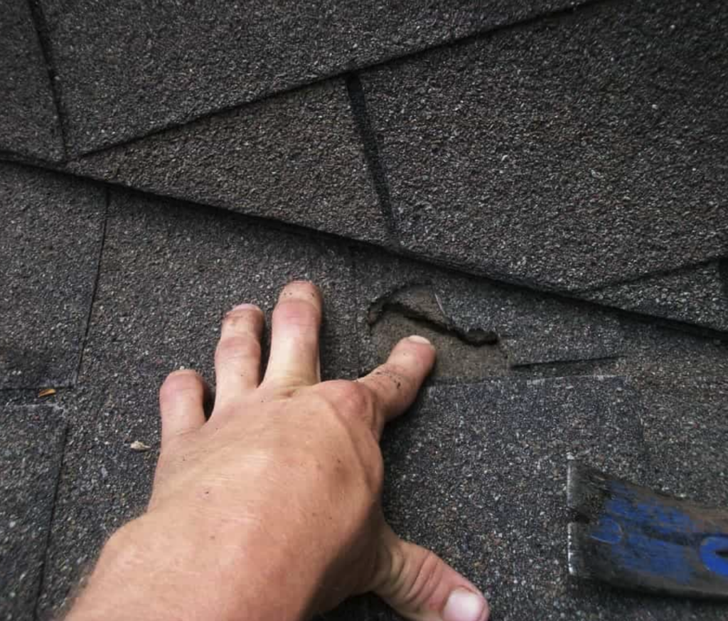Inspecting roof shingle damage with finger.
